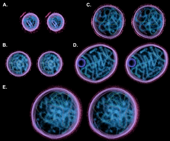 FIG. 5.