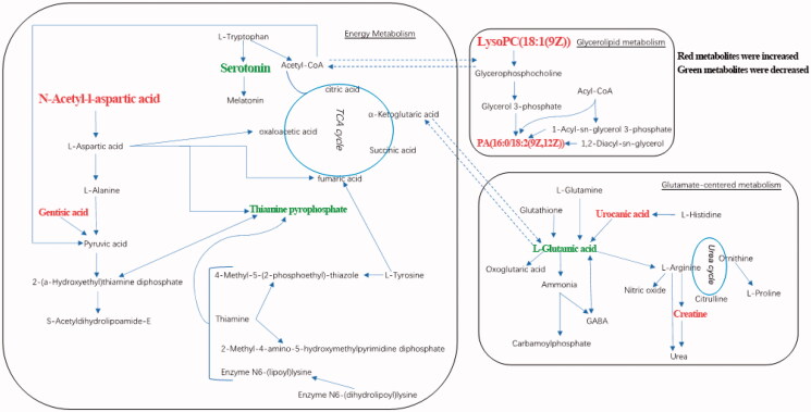 Figure 6.