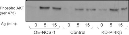 Figure 10.