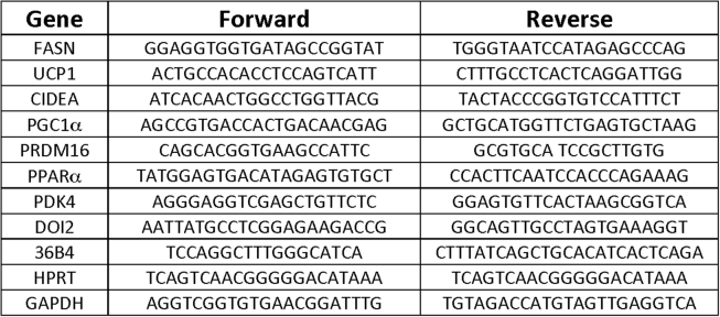 Supplementary Table 1