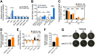 FIG 2