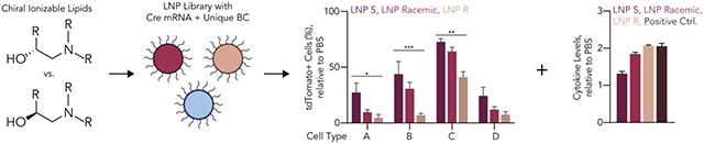 graphic file with name nihms-1854401-f0001.jpg