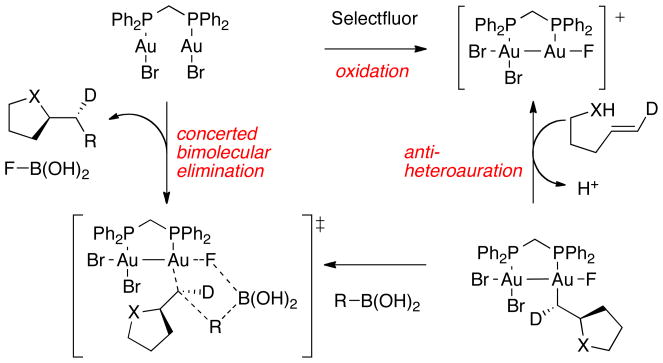 Scheme 5