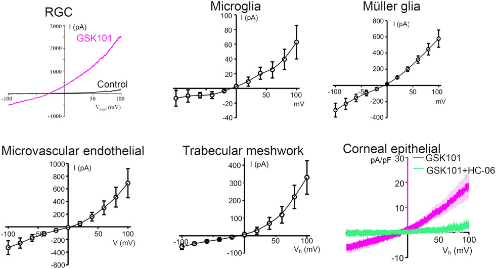 Figure 5.