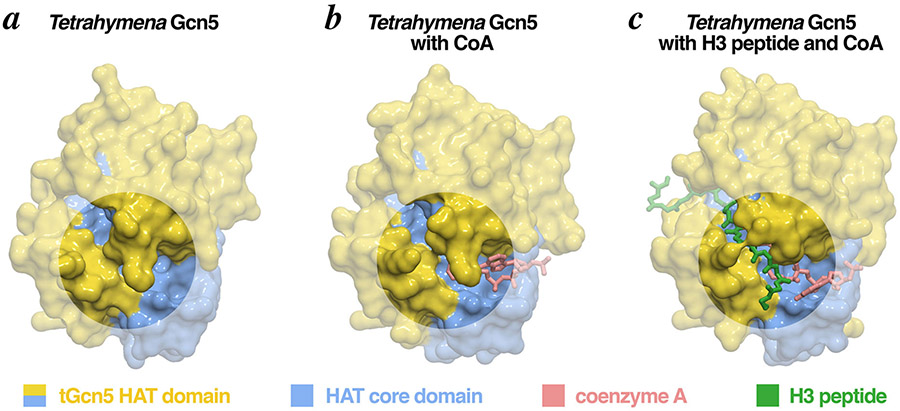 Figure 4: