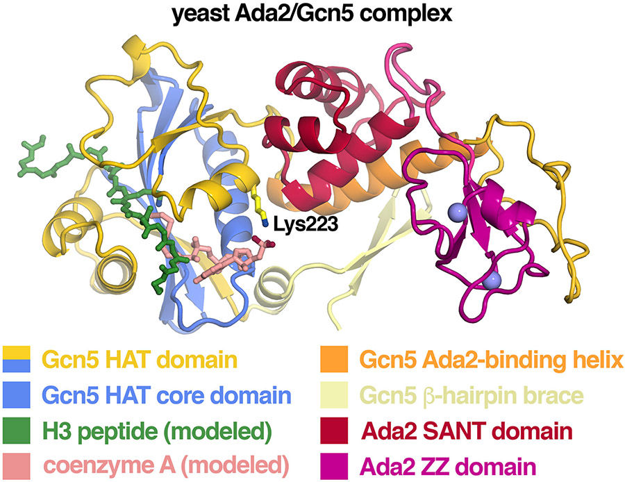 Figure 9: