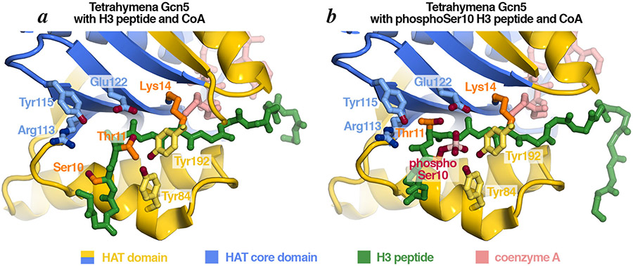 Figure 7: