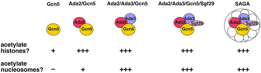 Figure 1: