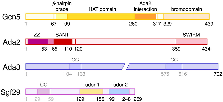 Figure 2: