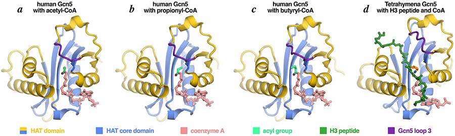 Figure 6: