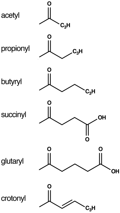 Figure 5: