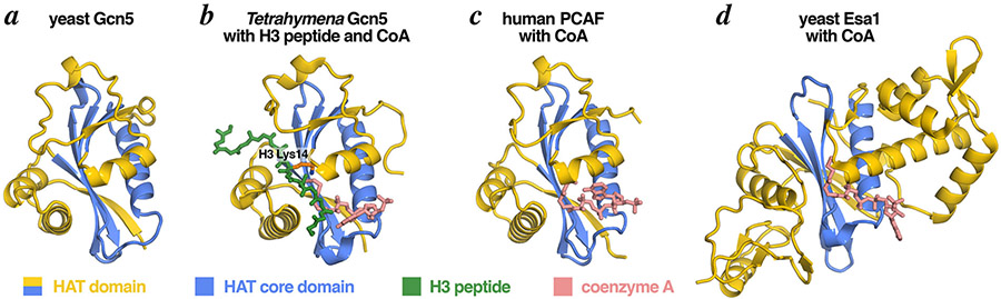 Figure 3: