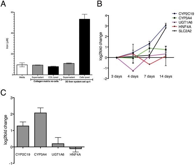 Fig 6