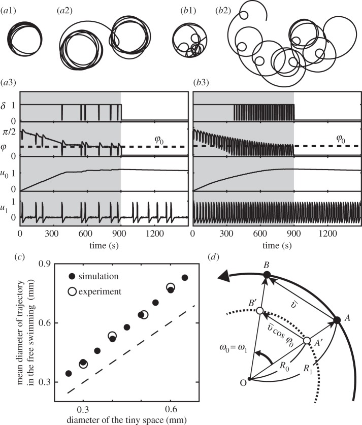 Figure 3.