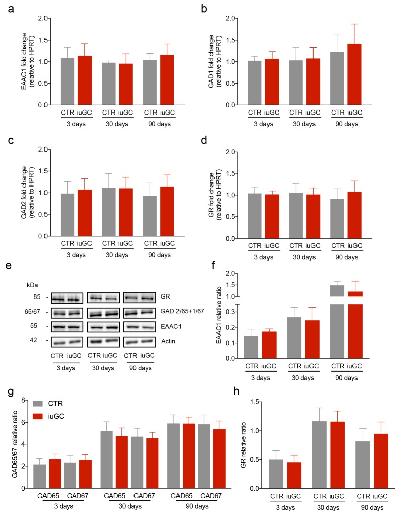 Figure 1—figure supplement 3.