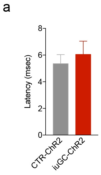 Figure 3—figure supplement 1.