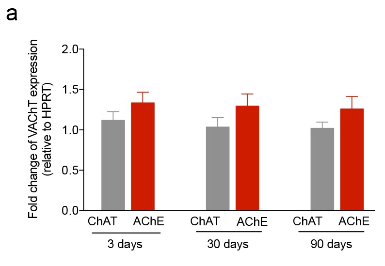 Figure 1—figure supplement 2.