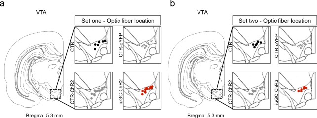 Figure 4—figure supplement 3.