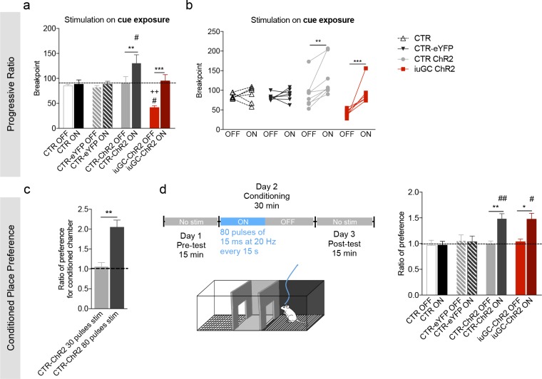 Figure 4—figure supplement 2.