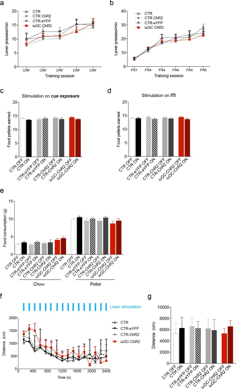 Figure 4—figure supplement 1.