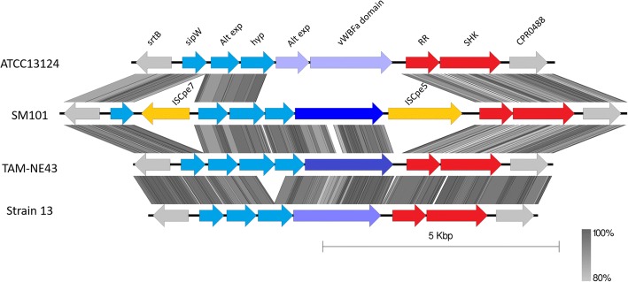 Fig. 7