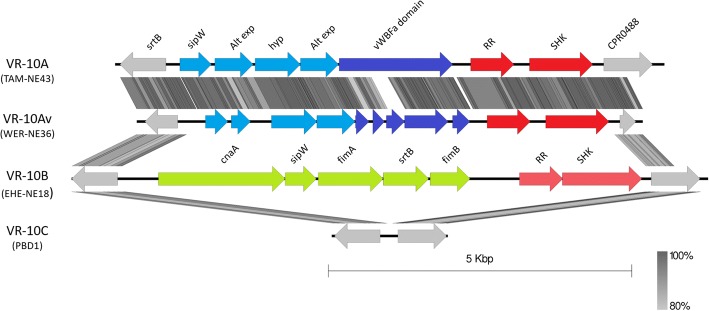 Fig. 6