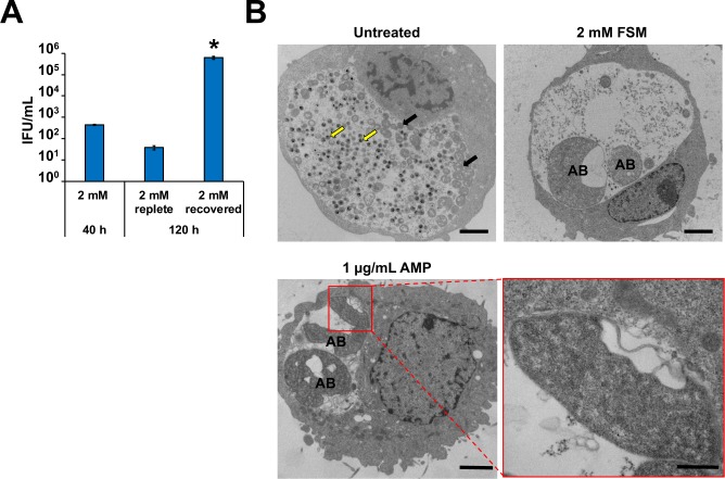 Fig 6