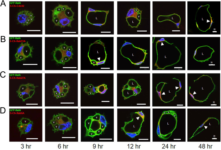 Fig 10