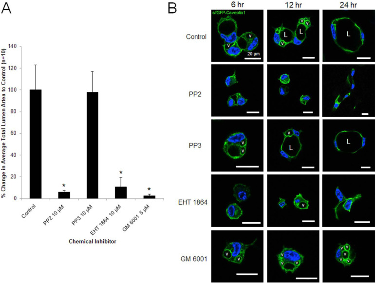 Fig 8