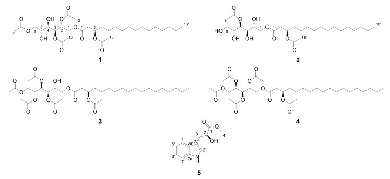 Figure 5