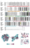 Figure 4—figure supplement 2.