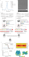 Figure 2—figure supplement 1.