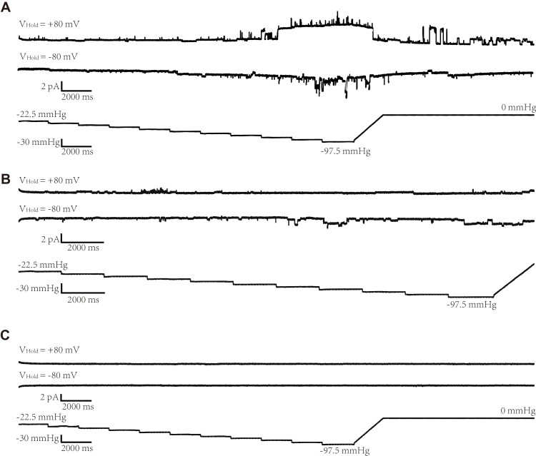 Figure 1—figure supplement 1.