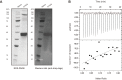 Figure 4—figure supplement 4.