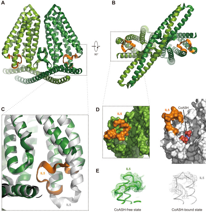 Figure 5.