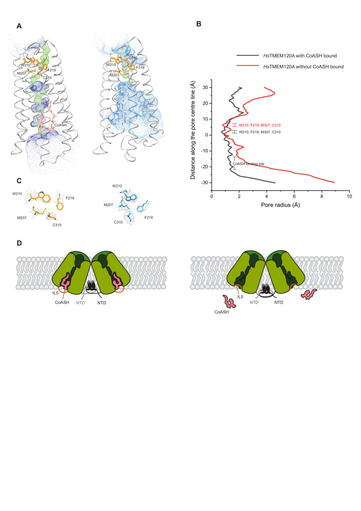 Figure 5—figure supplement 2.