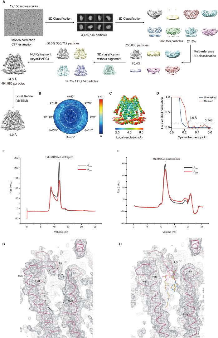 Figure 5—figure supplement 1.