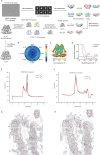 Figure 5—figure supplement 1.