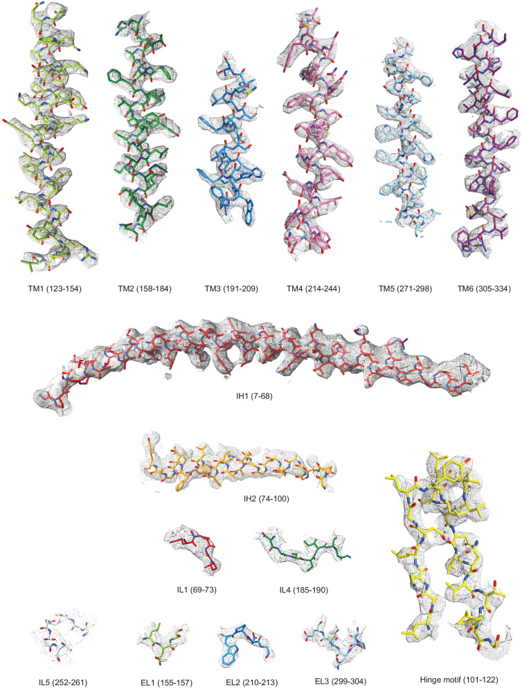 Figure 3—figure supplement 1.