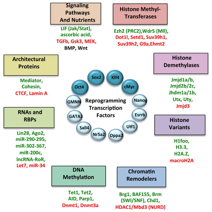 Figure 2