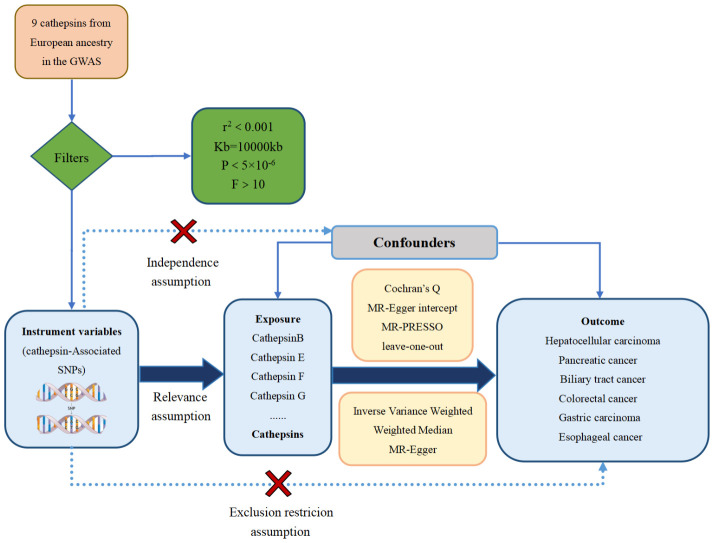 Figure 1