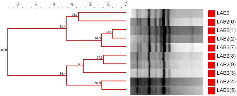 FIGURE 1