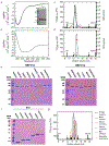 EXTENDED DATA FIGURE 1: