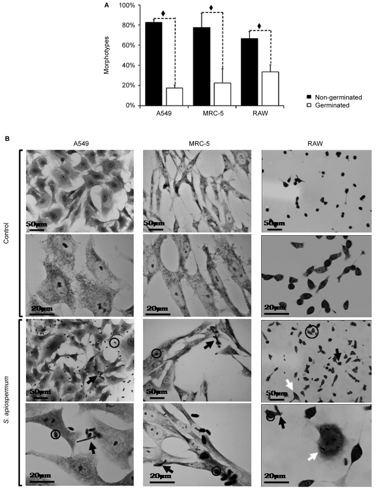 Fig. 2: