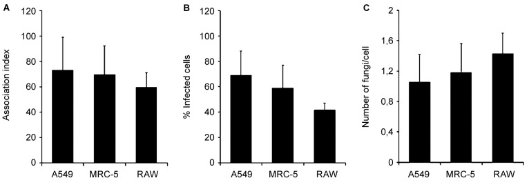 Fig. 1: