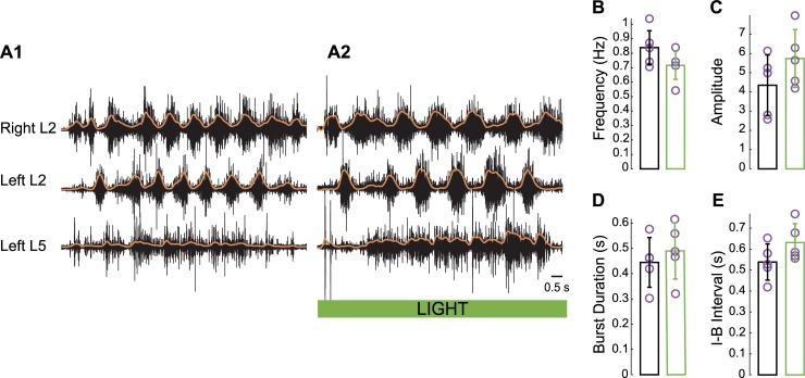 Fig 4