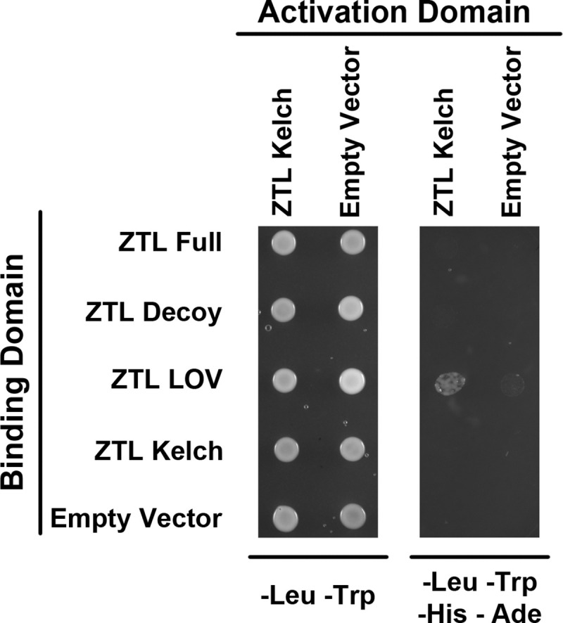 Fig 5