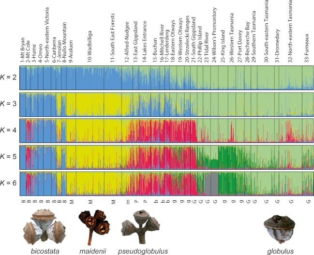 Figure 6