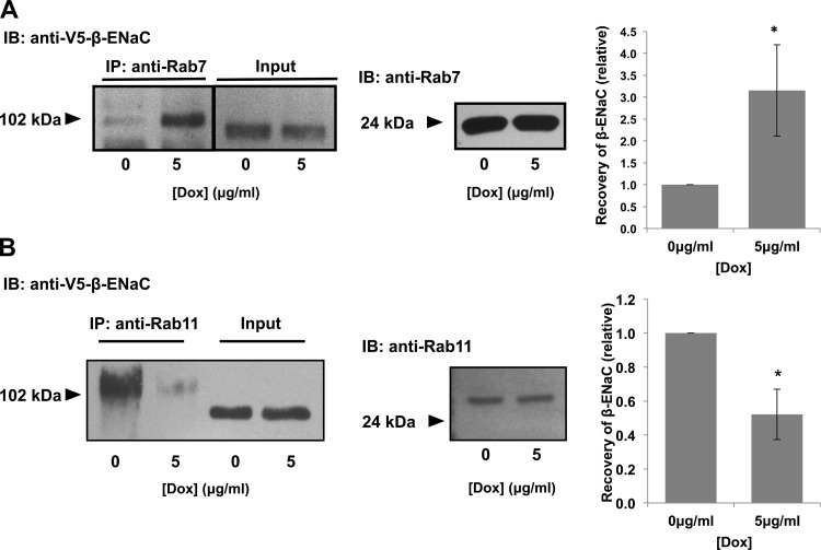 Fig. 8.