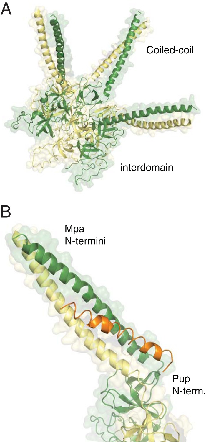 FIG 2